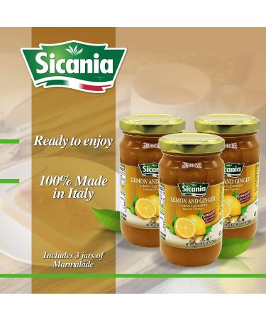 Sicania Italian Lemon Ginger Marmalade (Pack of 3) - Made in Sicily | Artisanal Jams & Preserves | Ideal for Breakfast, Snacks, and Gifting - Buy Online on GoSupps.com