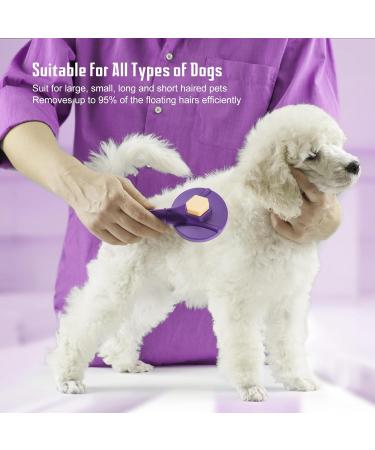 CUESVAP Dog Brush Self Cleanintg Slicker Cat Brushes for Grooming Dog Grooming Brush for Short or Long Haired Pets with Non-slip Handle Purple grooming - Buy Online on GoSupps.com