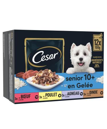 CESAR Senior Dog Meals - 48 Fresh Sachets (Pack of 4 Packs 12x100g) - Dog Food in Jelly - Beef / Chicken / Lamb / Turkey - Complete & Balanced Food with Natural Ingredients