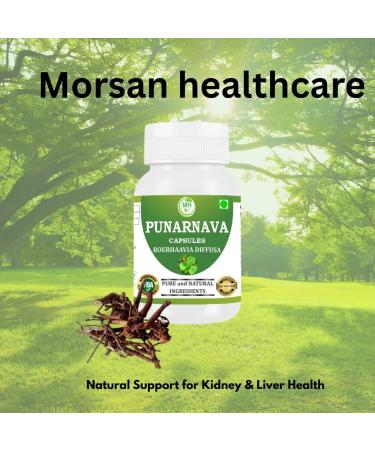 Morsan Healthcare Punarnava Capsules (Boerhaavia Diffusa) 500mg 60 Veg Capsules | Herbal Wellness Supplement for Natural Kidney & Liver Support | Plant-Based Detox & Cleansing Formula | Pack of 2 - Buy Online on GoSupps.com