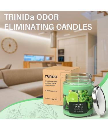 TRINIDa Lemon & Tea Tree Scented Odor Eliminating Candles Gift Set - Premium Natural Soy Candles for Women | Eliminates 99% of Pet, Smoke, & Other Odors Quickly - Buy Online on GoSupps.com