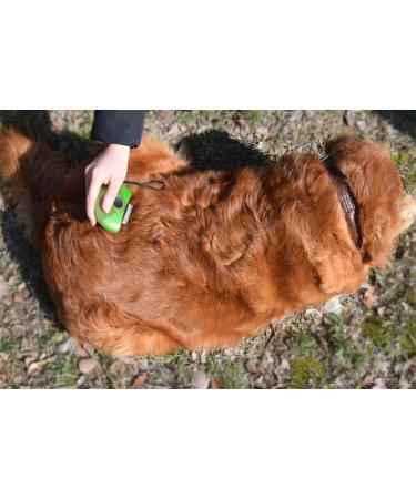 LEWARM 3-in-1 Cat Comb for Small Dogs and Cats - Grooming Trimming Tool - Green - Buy Online on GoSupps.com