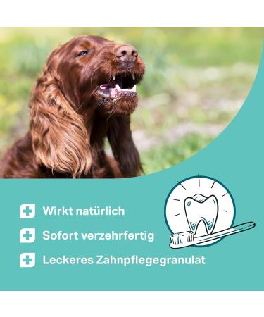MEDIDOG Dental YUM 300g Dental Care Granules for Dogs | Bad Breath & Tartar Control | Fresh Breath & Chewing Fun - Buy Online on GoSupps.com