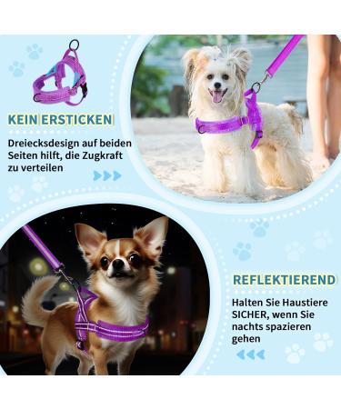 Eyein No-Pull Dog Harness with Leash | Soft Padded Reflective & Adjustable for All Breeds | XXS Purple - Buy Online on GoSupps.com