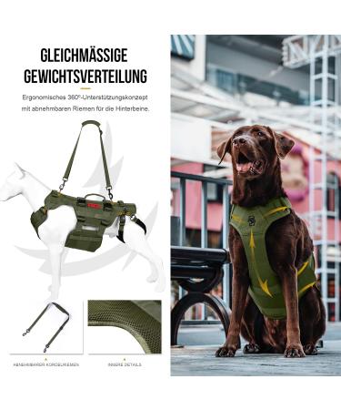 Buy Oneigris Dog Dishes - Invictus Support & Lifting Dishes for Medium & Large Dogs | Safety Dishes with 3 Handles & Adjustable Straps - M Green - Buy Online on GoSupps.com