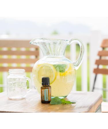 doTERRA Spearmint Essential Oil 15 mL - Premium Quality Essential Oil for Aromatherapy & Wellness | International Shipping Available - Buy Online on GoSupps.com