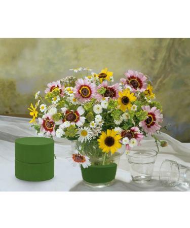 4.3 Round Floral Foam Blocks for Flower Arrangements - Wet/Dry Green Plant Foam for Fresh Flowers - Buy Online on GoSupps.com
