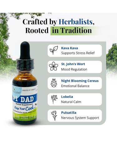 Anna & Eve #1 DAD Herbal Supplement Kava Drops | Natural Stress & Mood Support for Men | Herbal Kava Extract Liquid for Calm, Focus & Better Sleep | Vegan, Gluten-Free, Sugar-Free, 1 Fl Oz #1 DAD - Kava Kava 1 Fl Oz (Pack  - Buy Online on GoSupps.com