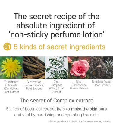 ARTOIS Body Lotion - Hydrating Hypoallergenic Perfumed Lotion for All Skin Types | 4.7 Fl. oz. Orris Amber - International Shipping Available - Buy Online on GoSupps.com