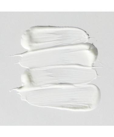 Buy PAI SKINCARE Organic C-2 Believe Vitamin C Brightening Moisturizer | Vegan & Natural Sensitive Skincare | 1.7 oz Worldwide Shipping - Buy Online on GoSupps.com