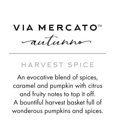 Autunno Home Frangrance Collection Candle 3.5 oz Harvest Spice 5984 Harvest Spice Candle 3.5 Ounce - Buy Online on GoSupps.com