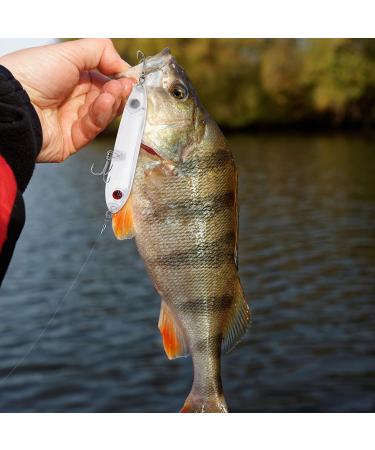 Ghanneey Fishing Blanks Lures Kit - 20pcs 0.35oz DIY Topwater Swimbait & Crankbaits for Bass, Salmon, Trout - Unpainted Hard Baits for Saltwater & Freshwater Fishing - Buy Online on GoSupps.com