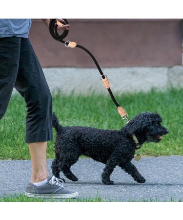 2m Nylon Dog Leash with 2 Carabiners - Durable Double Line Training Drag Line for Small Medium & Large Dogs - Perfect for Exercise & Control (Black) - Buy Online on GoSupps.com