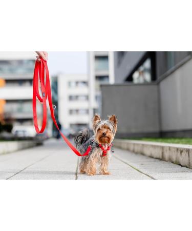 Chaba Guard Dog Harness for Small Dogs - Anti-Zug & Choking Relief Adjustable & Lightweight Perfect for Running - Classic Red - Buy Online on GoSupps.com