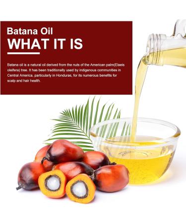 Batana Oil Shampoo et Apr s-shampooing pour la Croissance et la Pr vention de la Chute des Cheveux - Nourrissant pour Cuir Chevelu Sec Shampooing et apr s-shampooing Sets - Buy Online on GoSupps.com