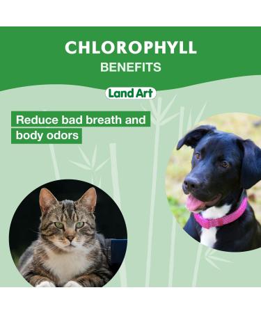Pet Water Additive for Dogs & Cats Fight Bad Breath & Body Odors Natural Oral Care Liquid Chlorophyll 100ml GMO Free Gluten Free Alcohol Free Sugar Free - Made in Canada - Buy Online on GoSupps.com