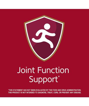 21st Century MSM 1000 mg - Methylsulfonylmethane 90 Tablets for Joint Health - Buy Online on GoSupps.com