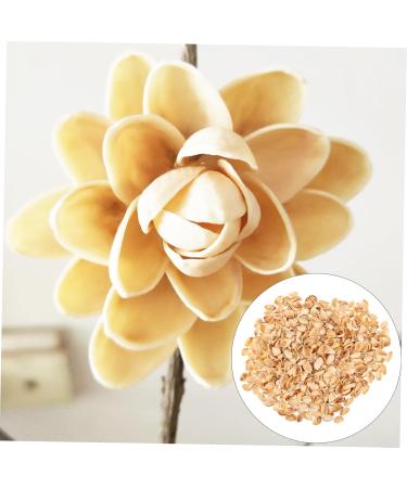 NUOBESTY 1 Pistachio Shell Kids Diy Craft Charms Turkish Diy Craft Accessories Nut Art Supplies Child - Buy Online on GoSupps.com