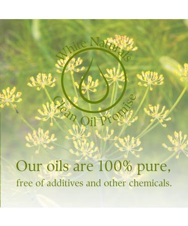 Organic Fennel Essential Oil for Digestion Sweet Fennel Seed Oil for Congestion Relief & Uplift Mood 100% Pure Undiluted Therapeutic Grade for Aromatherapy Glowing Skin Strengthened Hair 1oz Fennel 1 Fl Oz (Pack of 1) - Buy Online on GoSupps.com