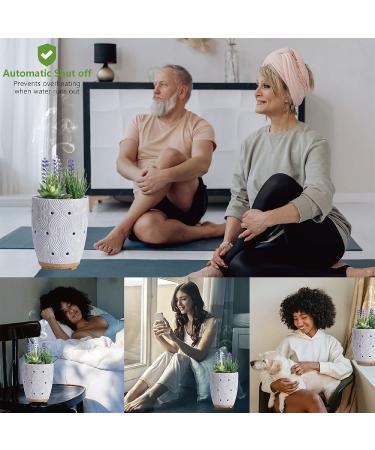 Artificial Succulent Plants Potted Essential Oil Diffuser with 7 Colors LED Light - Grey | Aromatherapy Ceramic Cool Mist Diffuser for Home and Office - Buy Online on GoSupps.com
