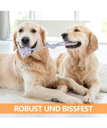 Cabertary 6-Piece Indestructible Dog Toy Set | Chewing Rope Knot Balls for Small & Medium Dogs | Robust Dental Care Toys - Buy Online on GoSupps.com