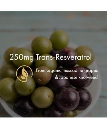 NAOMI Organic Resveratrol 250 mg Non-GMO Gluten-Free Vegan Antioxidant Supplement Supports Cardiovascular & Cellular Health Healthy Aging & Healthy Inflammatory Response - Buy Online on GoSupps.com