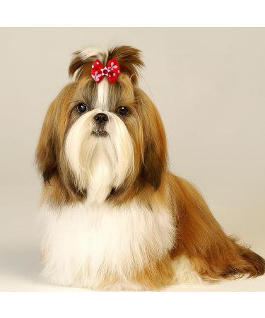 Camidy 50pcs Dog Bows | Cute Puppy Hair Bows with Rubber Bands for Grooming | Small Dog Accessories - Buy Online on GoSupps.com