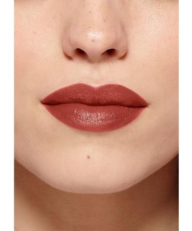 L'Or al Paris Color Riche Satin Smooth Lipstick Moisturising Pure Pigment Lip Colour With Omega 3 & Vitamin E 182 Extreme 182 EXTREME 1 count (Pack of 1) - Buy Online on GoSupps.com