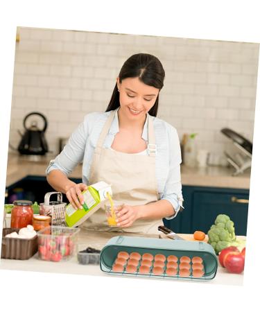 RORPOIR Deviled Egg Holder 1 Pc Slide Egg Collection 2 Tier Tray Refrigerator Egg Tray Double Layer Food Container Vegetable Green 28.5X15CM - Buy Online on GoSupps.com