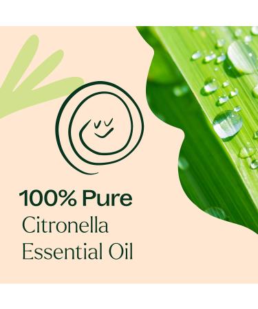 Buy 100% Pure Plant Therapy Citronella Essential Oil 100 mL - Aromatherapy Skin Care Candle Making & Outdoor Use - Therapeutic Grade - Buy Online on GoSupps.com