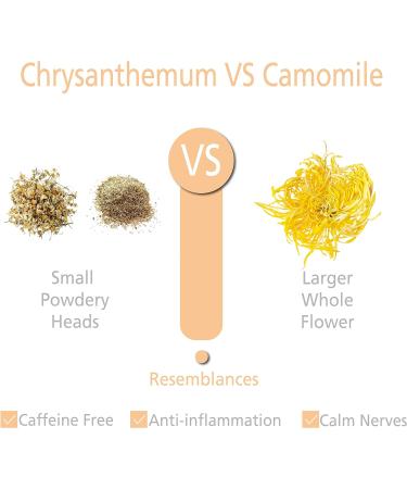 Capacitea Calm Relaxing Camomile Herbal Tea for Anxiety 24 g - Buy Online on GoSupps.com