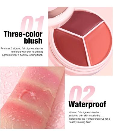 Cream Blush Palette | Waterproof and Long-Lasting Face Blush - Cheek Blush | For Dates Travel Evenings Vacations Parties - Buy Online on GoSupps.com