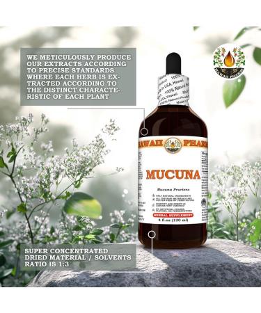 Mucuna (Mucuna Pruriens) Dry Seed Tincture, Made in Hawaii, Organic Raw Materials, All Natural, Vegan, Pure Liquid Extract - 2 fl.oz 2 Fl Oz (Pack of 1) - Buy Online on GoSupps.com