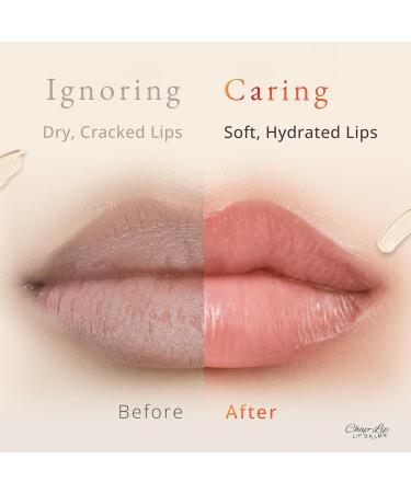 CHAP-LIP Original Lip Balm Hydrating Bulk Chap Stick with Fruit Flavors Coconut Oil and Cocoa Butter - Christmas Gift Stocking Stuffers Lip Therapy Pack for Men and Women - Made in the USA 24 Pack Original 24 Count (Pack  - Buy Online on GoSupps.com