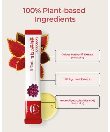 FOODOLOGY Coleology Tea 15-Day Pack - Pomegranate Flavor for Health Management - Natural Ingredients - Buy Online on GoSupps.com