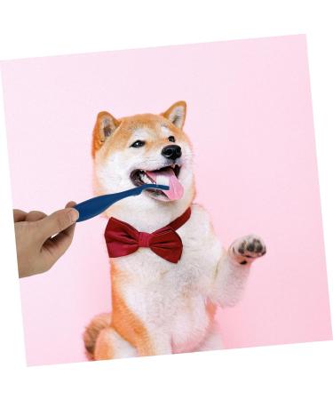 BESPORTBLE 3pcs Pet Double Toothbrush Finger Dog Toothbrush Cat Toothpaste Dog Teeth Cleaning Tools Pet Oral Pp 1 count (Pack of 1) Blue - Buy Online on GoSupps.com
