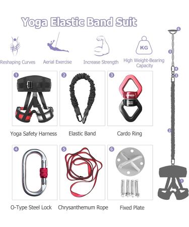 Bungee Fitness Equipment Set - Heavy Cord Bungee Dance Resistance Belt Rope - 4D Bungee Dance Rope Workout - Aerial Bungee Kit w/Harness Bungee Ropes Swivel Daisy Chain(Weight Class 6-100kg/220lb WEIGHT CLASS 6 - 100kg/220lbss - Buy Online on GoSupps.com