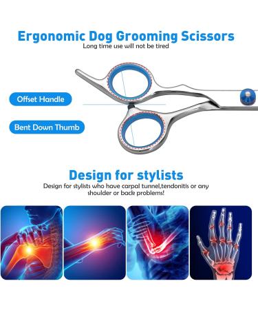 Premium Curved Dog Scissors - Stainless Steel Grooming Scissors for Dogs & Cats | Safety Round Pointed Design - Buy Online on GoSupps.com