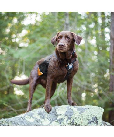 Kurgo Baxter Dog Backpack Hiking Pack for Dogs Lightweight Reflective Black/Orange Baxter Black - Buy Online on GoSupps.com