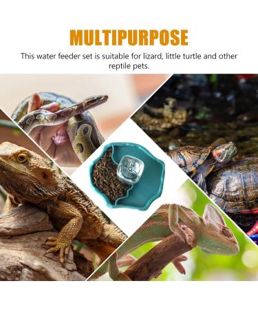 BEANPRECOY Reptile Water Dispenser Turtle Water Bowl 2 in 1 Reptile Automated Feeder Turtle Water Dispenser with Bottle for Turtles Hamsters Lizards Bearded Dragon Snake (Blue) - Buy Online on GoSupps.com