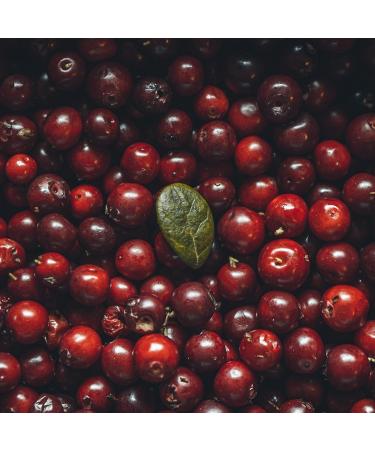 Mathieu Teisseire Cranberry Syrup for cocktail drinks with or without alcohol sodas teas lemonades 70cl bottle - Buy Online on GoSupps.com
