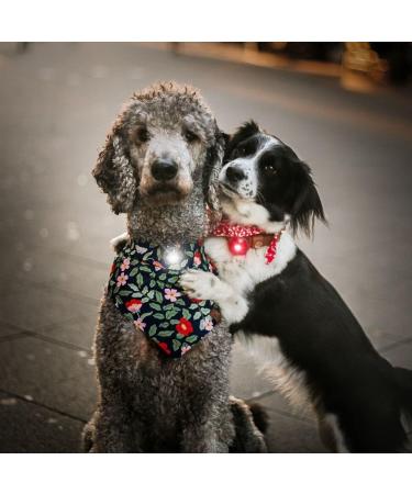 Buy Orbiloc Safety Light for Dog Collars - Best Gear for Night Walks | International Shipping Available - Buy Online on GoSupps.com