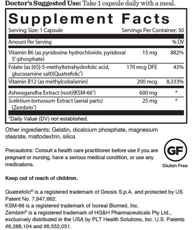 Dr. Williams AshwaBright Mood Plus - 30 Capsules for Enhanced Mood & Wellness - Buy Online on GoSupps.com