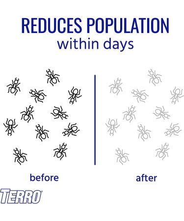 Terro Liquid Ant Killer - 12 Bait Stations for Effective Ant Control - Buy Online on GoSupps.com