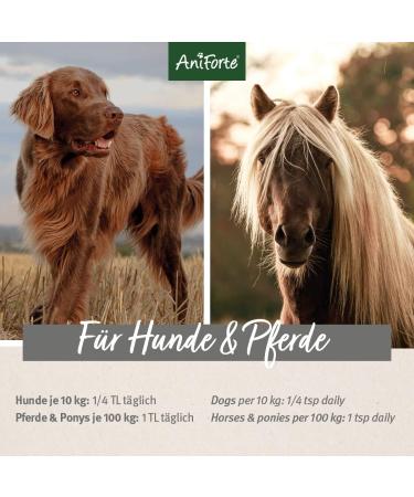 Aniforte Organic Egyptian Black Cumin Oil 500ml for Dogs & Horses - Cold-Pressed Natural Premium Quality Eco-Friendly Packaging - Buy Online on GoSupps.com