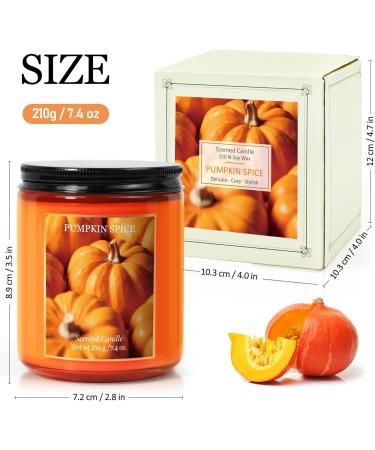 SCENTORINI Pumpkin Spice Scented Candle - 7.4 oz Natural Soy Wax | Perfect Halloween & Fall Aromatherapy Gift  - Buy Online on GoSupps.com