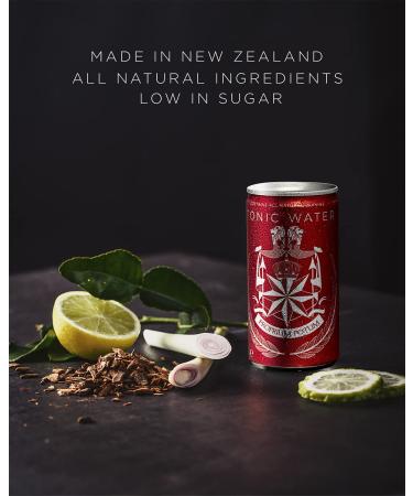 East Imperial Premium Tonic Water 6.1 Fl Oz Cans - Pack of 10 | No Artificial Sweeteners, Flavorings, or Preservatives - Buy Online on GoSupps.com