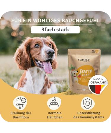 Organic Intestinal Powder for Dogs | Curapet with Probiotics & Prebiotics | Supports Digestion & Intestinal Health - 80 Portions - Buy Online on GoSupps.com