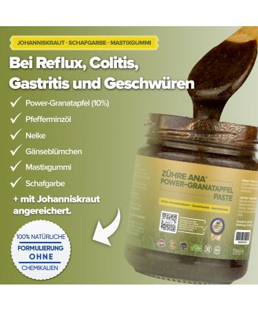 Z hre Ana Power Pomegranate Paste: 100% Natural Formulation | Natural Aid for Stomach Problems Reflux Gastritis and Digestive Disorders | Fast Acting Anti-Inflammatory Properties 240 ml (Pack of 1) - Buy Online on GoSupps.com