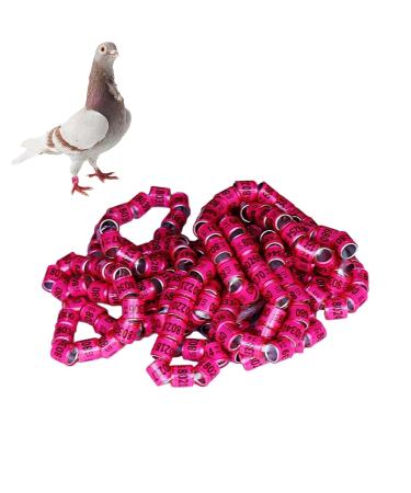 50 Multicolored Aluminum Pigeon & Chicken Leg Rings | Bird Identification Foot Rings - Training Accessories - Buy Online on GoSupps.com